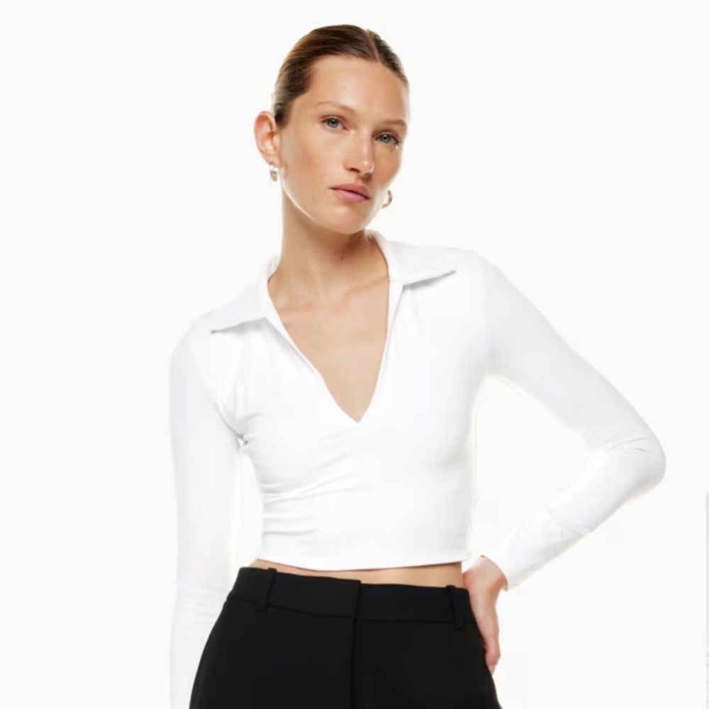 Aritzia Contour Longsleeve Polo